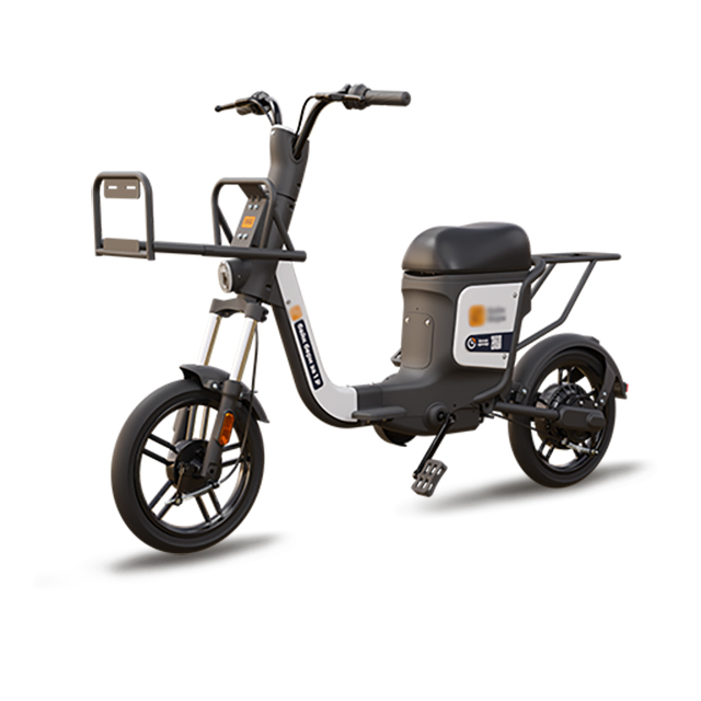 Long Range 350W 48V24AH Electric Delivery Bike with Rear Cargo Rack