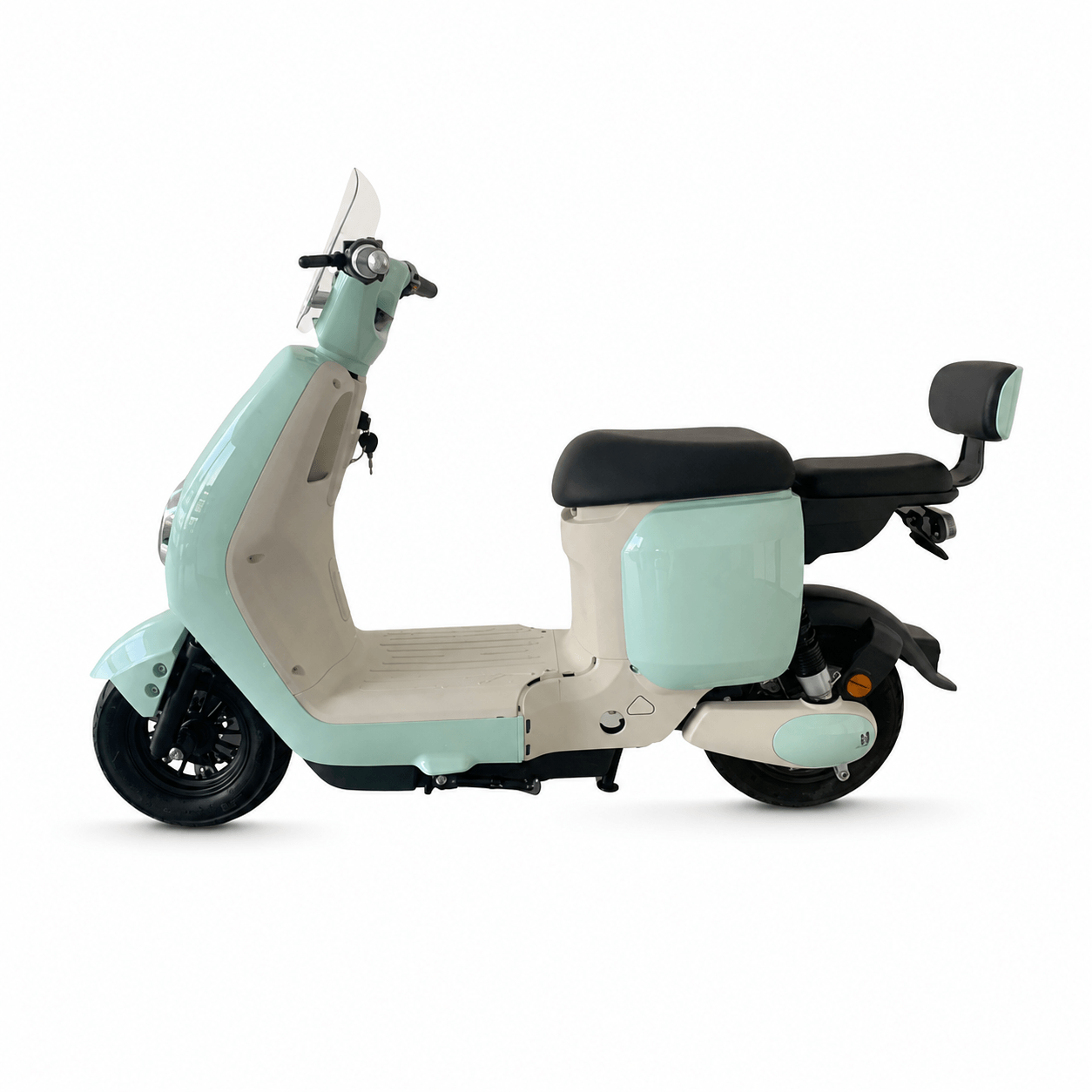 800W 48V20AH Bicicleta Elétrica ELECTRIC Scooter Electric Motorcycle with Two-seater