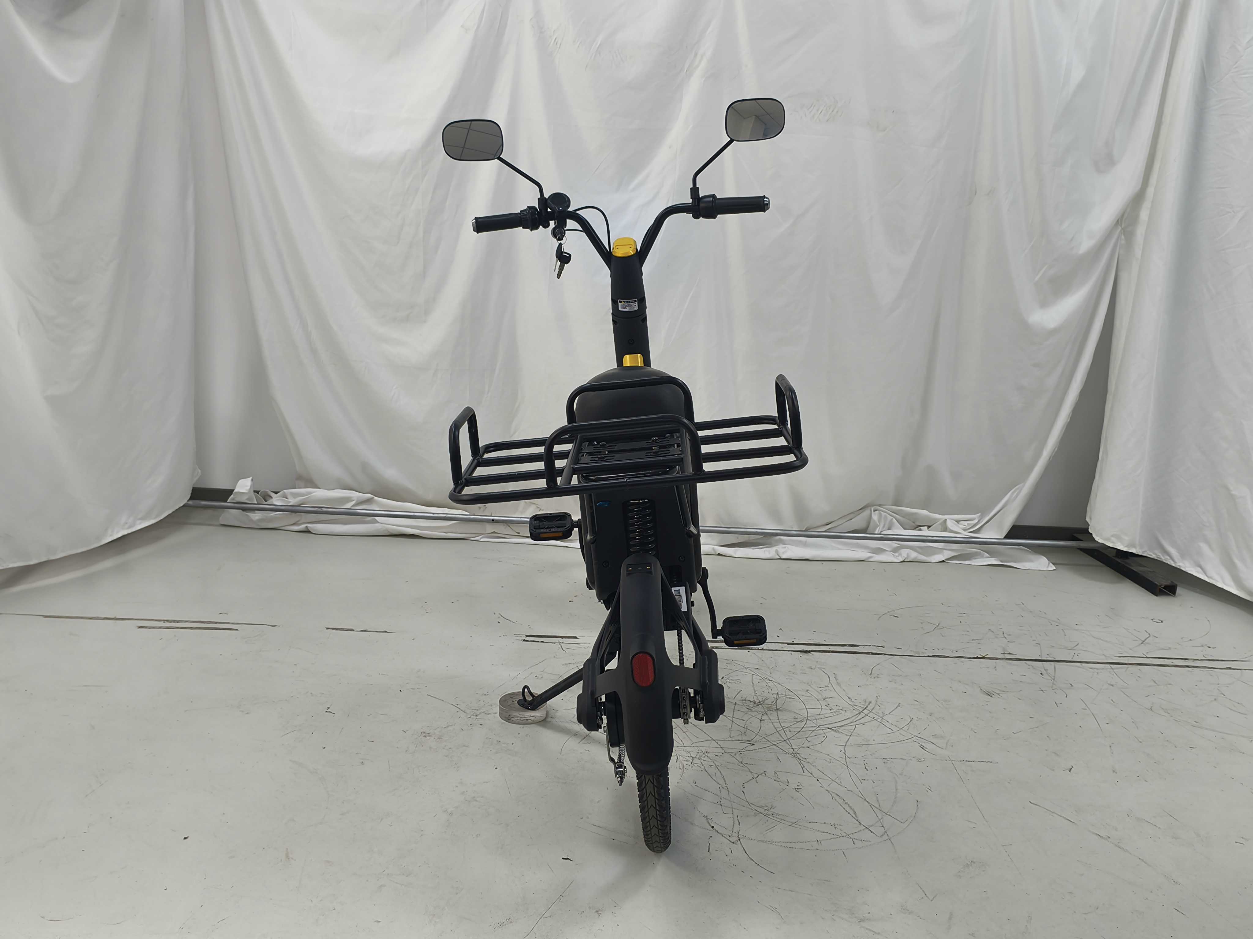 Long Range 350W  48V24AH Electric Delivery Bike with Rear Cargo Rack